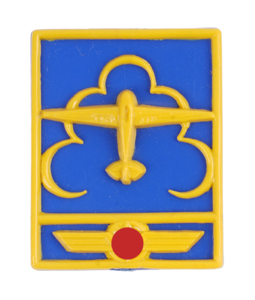 DLV Abzeichen