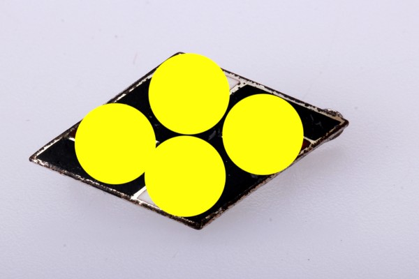 Nationalsozialistischer Deutscher Studentenbund