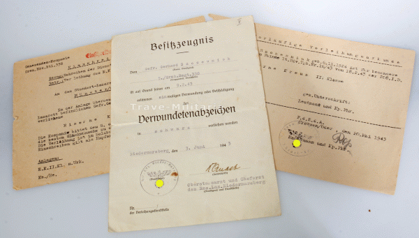 Urkundengruppe Szczesniak Gren.Rgt,338 208.I.D.