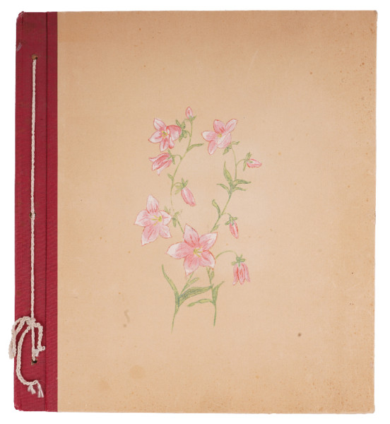 Fotoalbum III. / A. R. 225