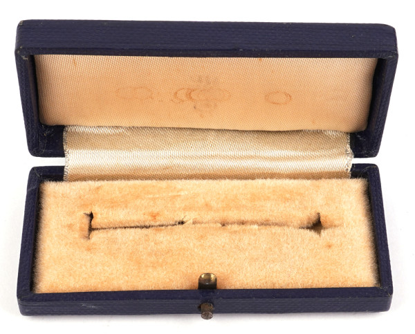 Etui Frontflugspange für Aufklärer Gold