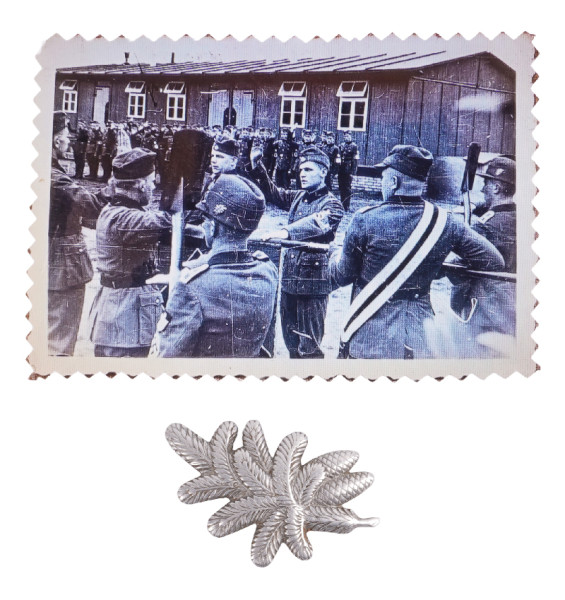 Reichsarbeitsdienst Tradtions-Mützenabzeichen Arbeitsgau XXVII