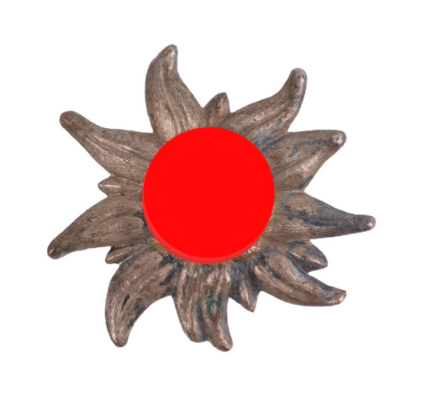 S.A.-Gruppe Hochland Mützenedelweiß