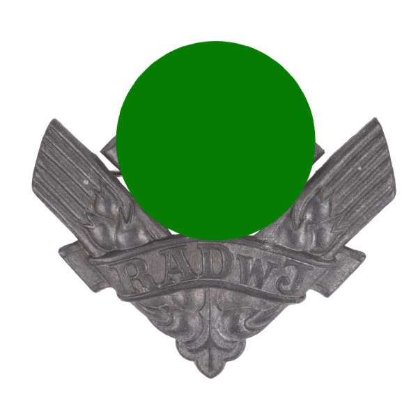 Reichsarbeitsdienst weibliche Jugend Brosche für Kriegshilfsdienst