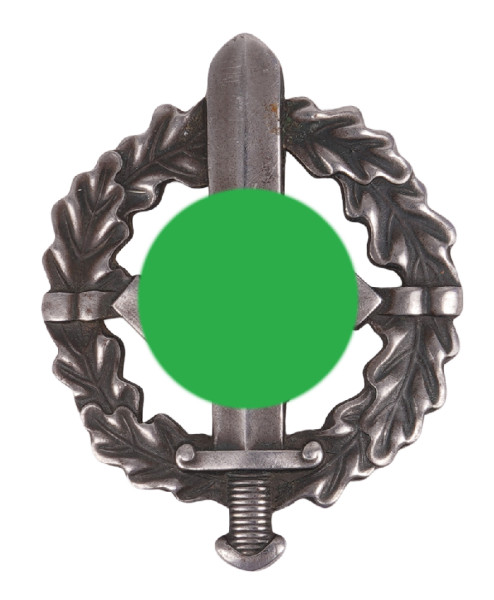 SA-Sportabzeichen in Silber